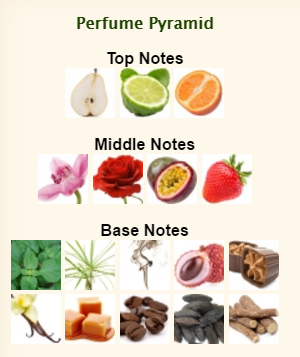 lancome20tresor20la20nuit