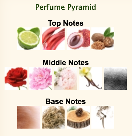 screen-shot-2018-10-19-at-6