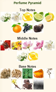 tomford20black20orchid Tom Ford Black Orchid